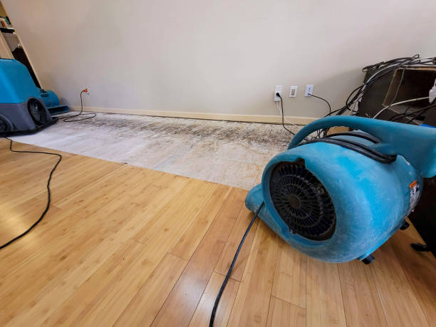 Professional Sewage Cleanup technician working in Dry Creek, WV